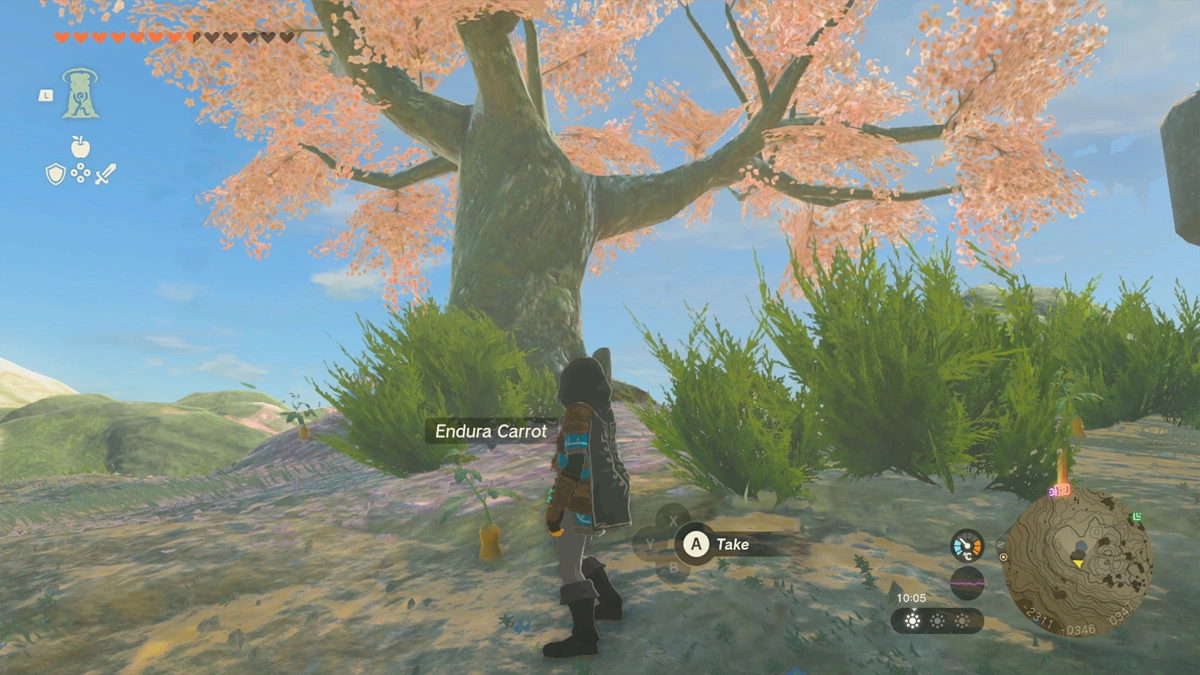 How to get Endura Carrots in Zelda: Tears of the Kingdom – Gaming Hybrid