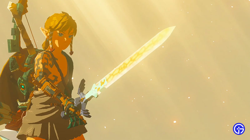 Zelda TOTK Best Master Sword Fuse Materials