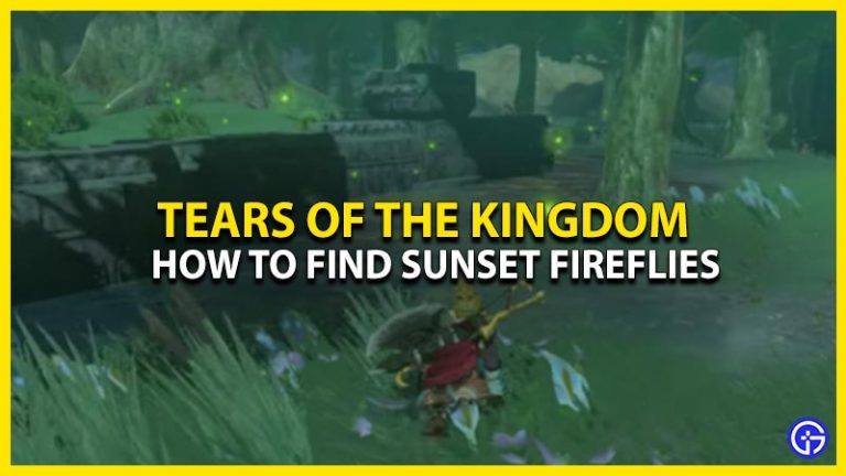 How To Get TotK Sunset Fireflies In Zelda Tears Of The Kingdom – Gaming ...