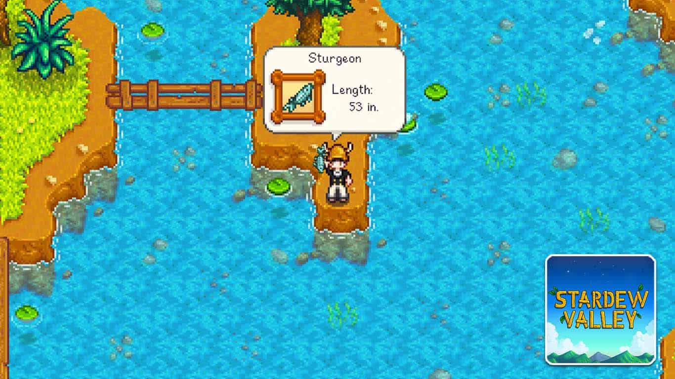 Stardew Valley – Where to Catch Sturgeon – Gaming Hybrid