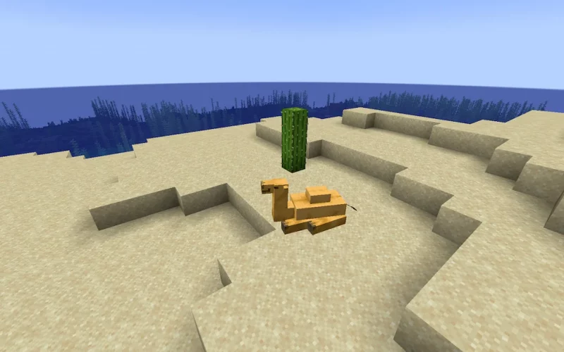 What do Camels eat in Minecraft? – Gaming Hybrid