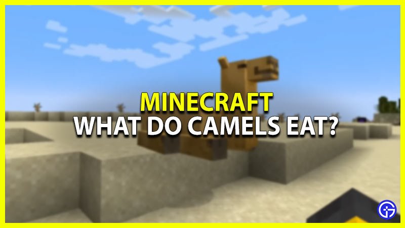 What Do Camels Eat In Minecraft 1.20? – Gaming Hybrid