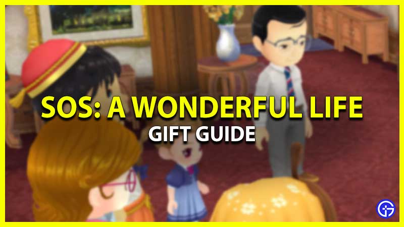 Story Of Seasons A Wonderful Life Gift Guide