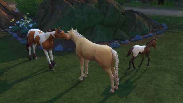 Establishing a good relationship with horses in The Sims 4