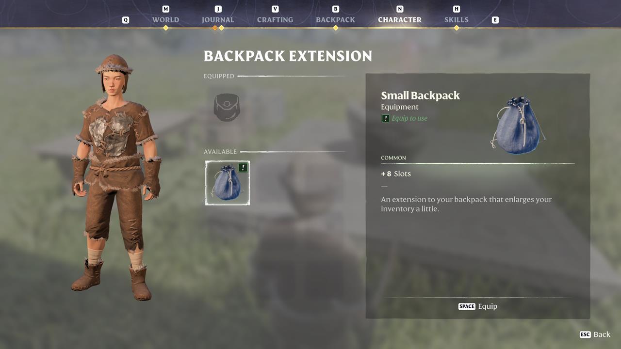 Craft the Small Backpack and equip it.